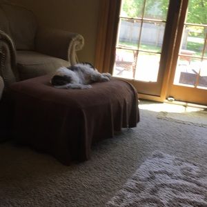 Meet your Posher, Gina